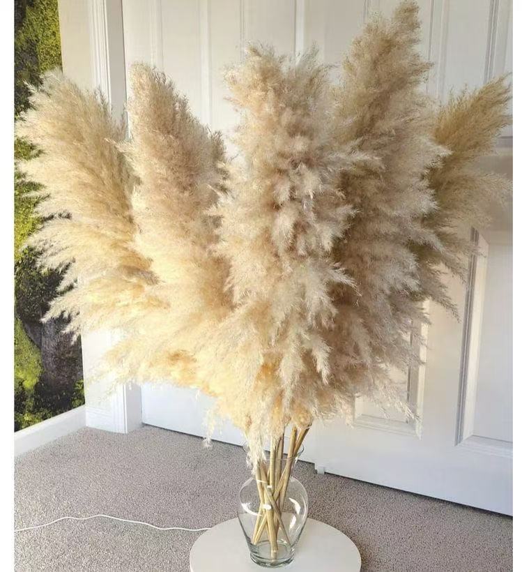 Natural pampas grass
